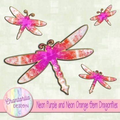 neon purple and neon orange gem dragonflies