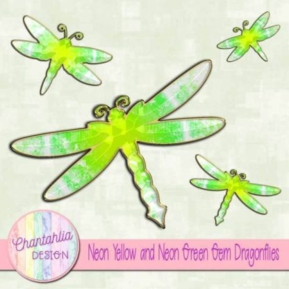 neon yellow and neon green dragonflies