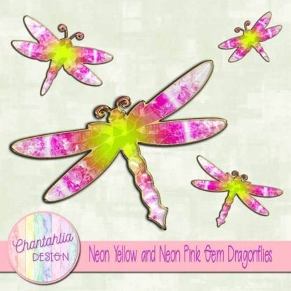 neon yellow and neon pink dragonflies