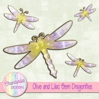 olive and lilac gem dragonflies