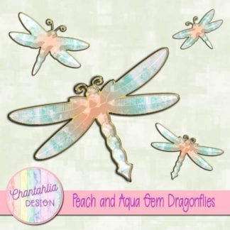 peach and aqua gem dragonflies