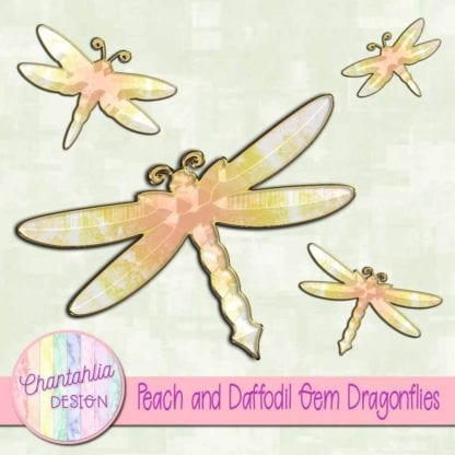 peach and daffodil gem dragonflies