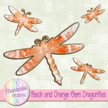 peach and orange gem dragonflies