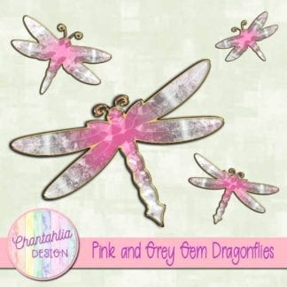 pink and grey gem dragonflies