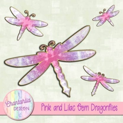 pink and lilac gem dragonflies