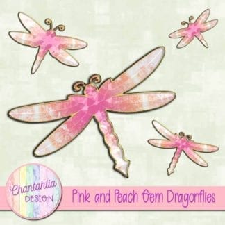 pink and peach gem dragonflies