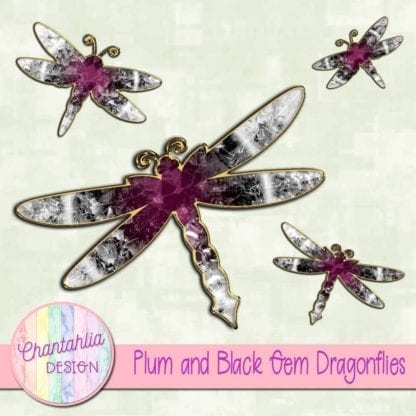 plum and black gem dragonflies