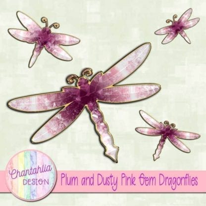 plum and dusty pink gem dragonflies