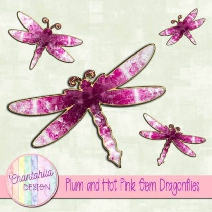 plum and hot pink gem dragonflies