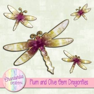 plum and olive gem dragonflies