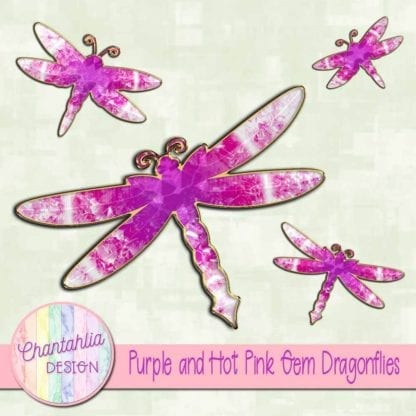 purple and hot pink gem dragonflies