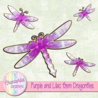 purple and lilac gem dragonflies
