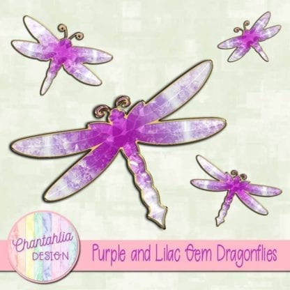 purple and lilac gem dragonflies
