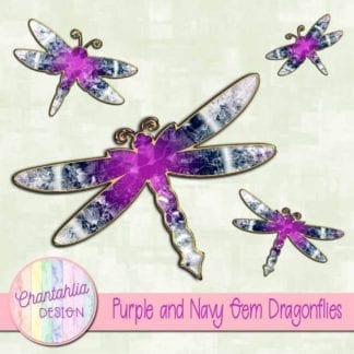 purple and navy gem dragonflies