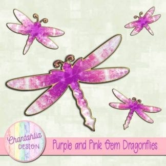 purple and pink gem dragonflies