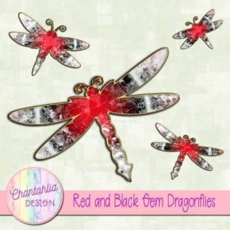 red and black gem dragonflies
