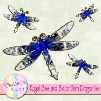 royal blue and black gem dragonflies