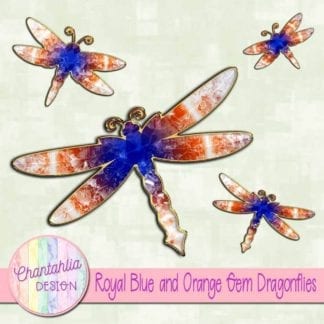 royal blue and orange gem dragonflies