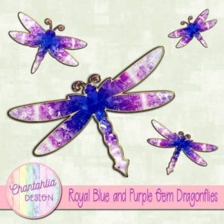 royal blue and purple gem dragonflies