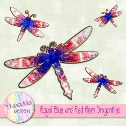royal blue and red gem dragonflies