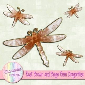 rust brown and beige gem dragonflies