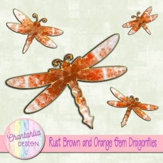 rust brown and orange gem dragonflies