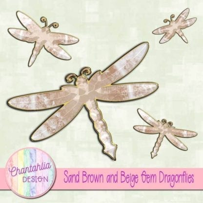 sand brown and beige gem dragonflies