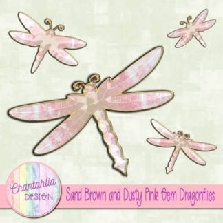 sand brown and dusty pink gem dragonflies
