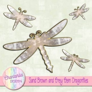 sand brown and grey gem dragonflies