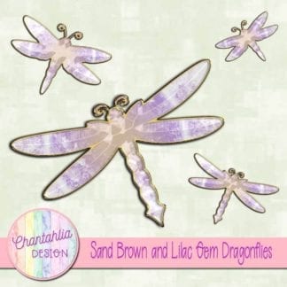 sand brown and lilac gem dragonflies