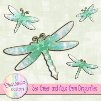 sea green and aqua gem dragonflies
