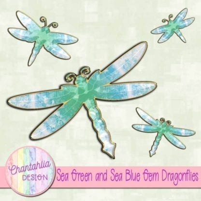 sea green and sea blue gem dragonflies