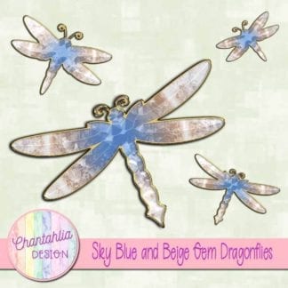 sky blue and beige gem dragonflies