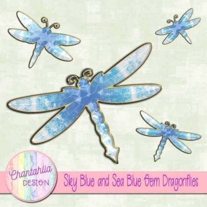 sky blue and rust brown gem dragonflies