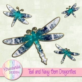 teal and navy gem dragonflies