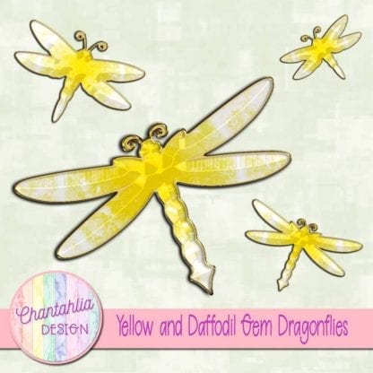 yellow and daffodil gem dragonflies