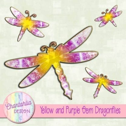 yellow and purple gem dragonflies
