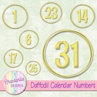 daffodil calendar numbers design elements