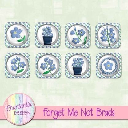 free forget me not brads
