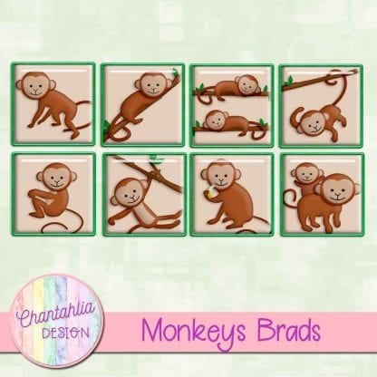 Free brads in a Monkeys theme.