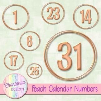 peach calendar numbers design elements