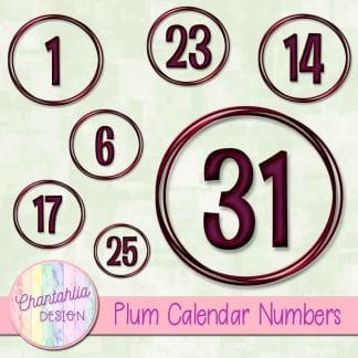 plum calendar numbers design elements
