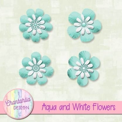 Free aqua and white flowers