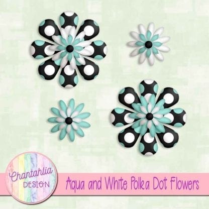 aqua and white polka dot flowers