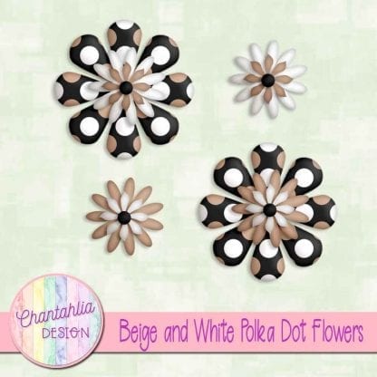 beige and white polka dot flowers
