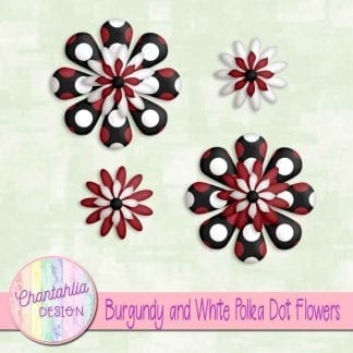 burgundy and white polka dot flowers