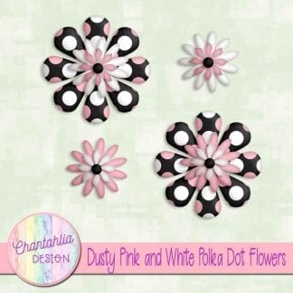 dusty pink and white polka dot flowers