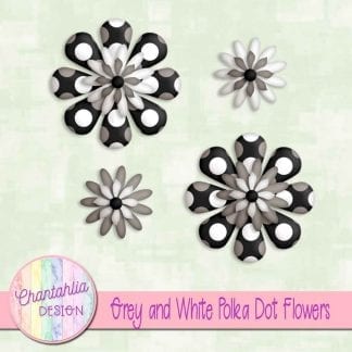 grey and white polka dot flowers