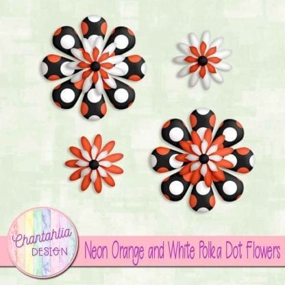 neon orange and white polka dot flowers