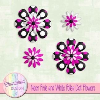 neon pink and white polka dot flowers
